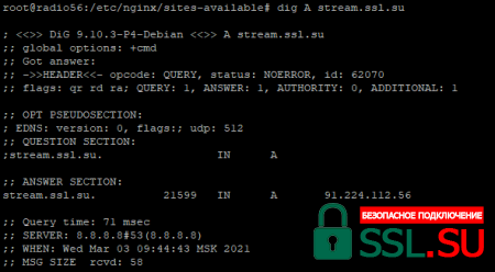 Проверка корректности A записей DNS